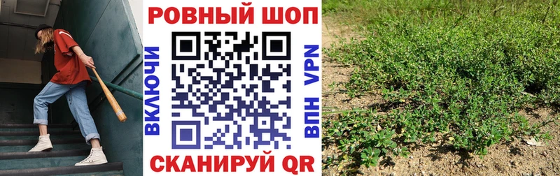Какие есть наркотики Ачинск APVP  МАРИХУАНА  Метадон  Кокаин  Галлюциногенные грибы 